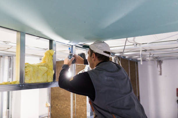 Best Cellulose Insulation in Junction City, KY