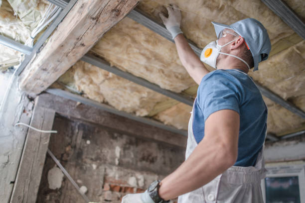 Best DIY Insulation Kits and Guidance in Junction City, KY