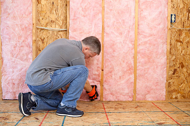 Best Insulation Maintenance and Repair in Junction City, KY
